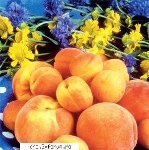 Ceva bun :P - Nepotuecs - ~~Fructe~~