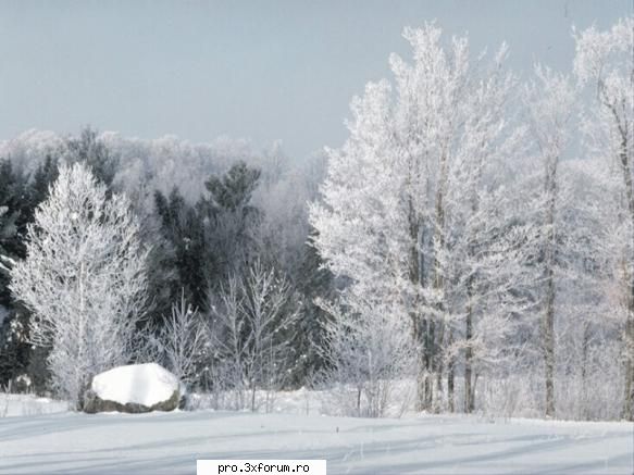 Ceva frumos - Nepotuecs - ~~Frumusetile Naturii~~