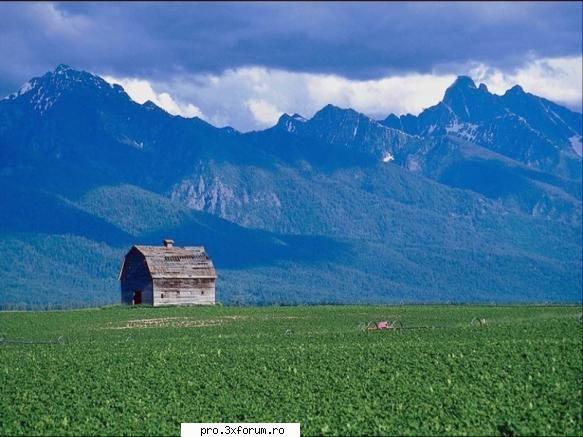 Ceva frumos - Nepotuecs - ~~Frumusetile Naturii~~