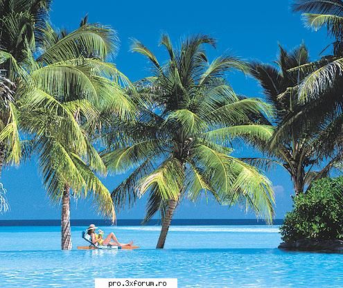 Ceva frumos - Nepotuecs - ~~Frumusetile Naturii~~