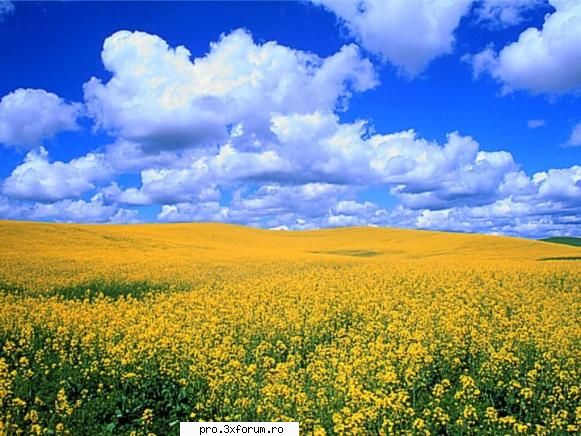 Ceva frumos - Nepotuecs - ~~Frumusetile Naturii~~