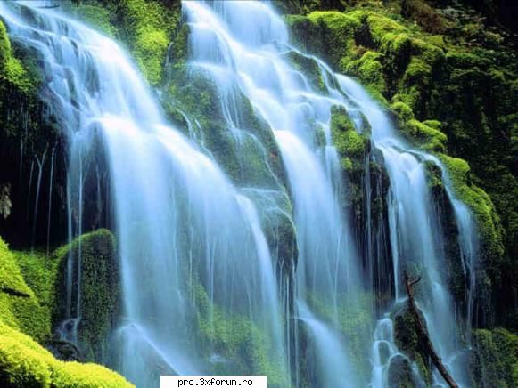 Ceva frumos - Nepotuecs - ~~Frumusetile Naturii~~