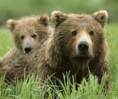 Poze cu .... - Nepotuecs - ~~Animale si altele~~