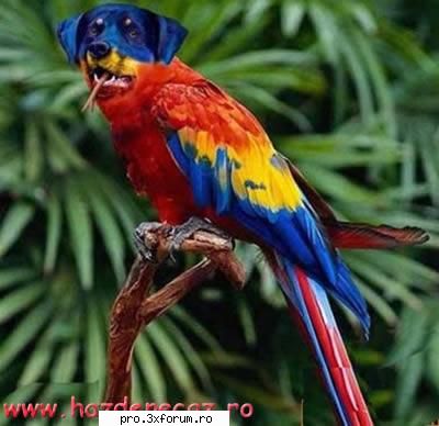 Poze cu .... - Nepotuecs - ~~Animale si altele~~